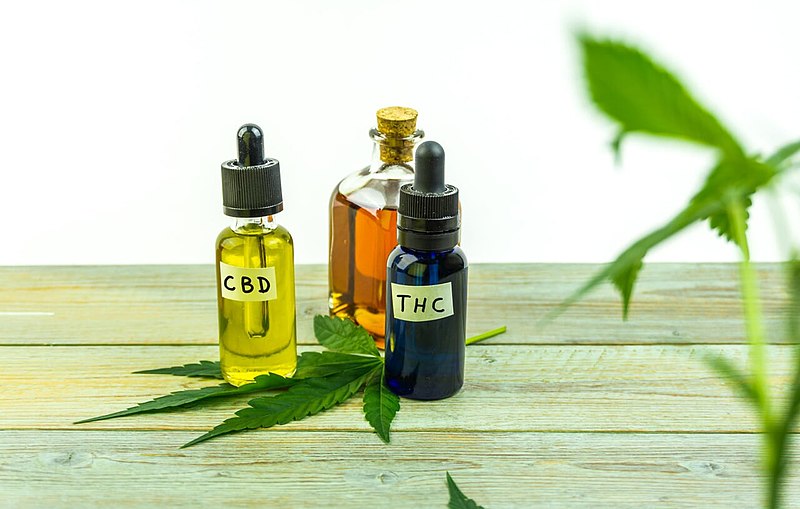 CBD 101: Your Ultimate Guide to Cannabidiol’s Healing Potential